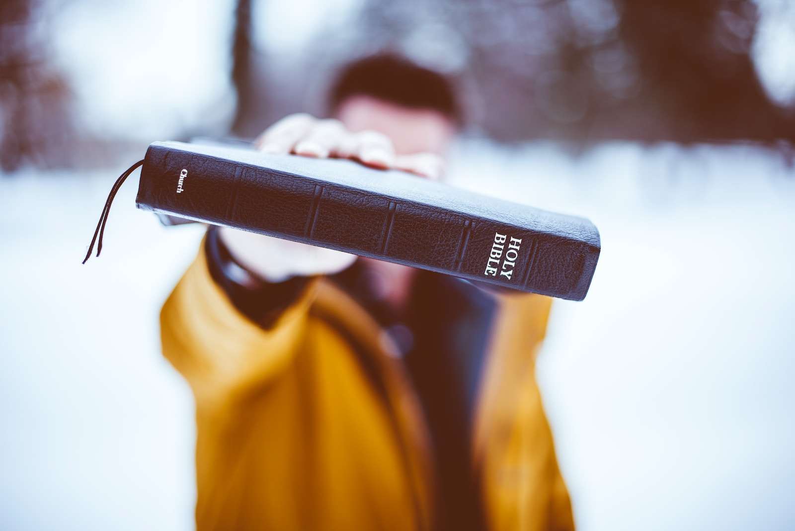 person holding Holy Bible